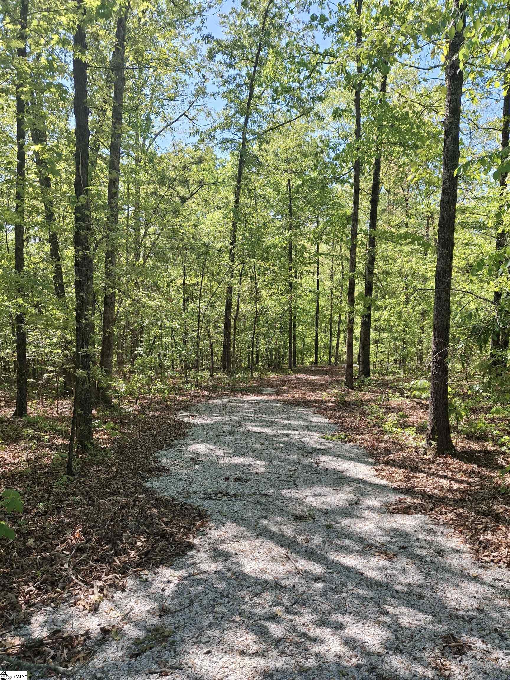 523 Flat Shoals Road Walhalla, SC 29691 - Photo 7 of 13
