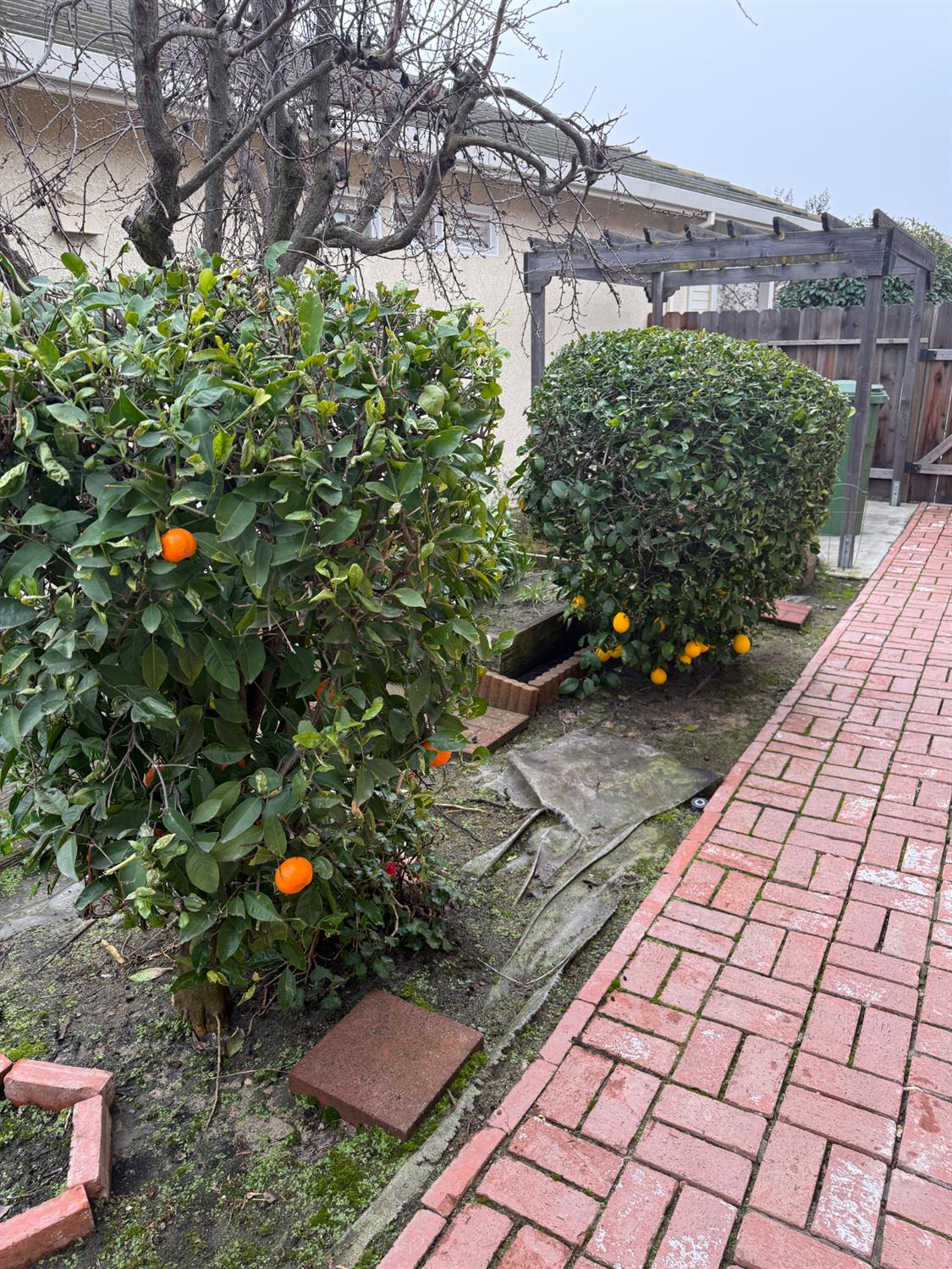 3350 Spring Garden Drive Turlock, CA 95382 - Photo 29 of 32