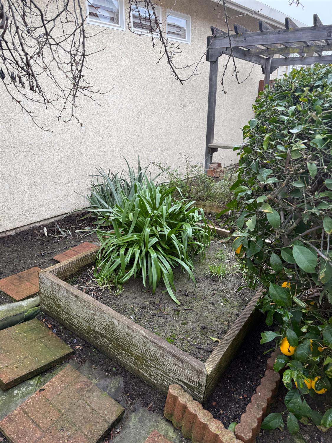 3350 Spring Garden Drive Turlock, CA 95382 - Photo 30 of 32