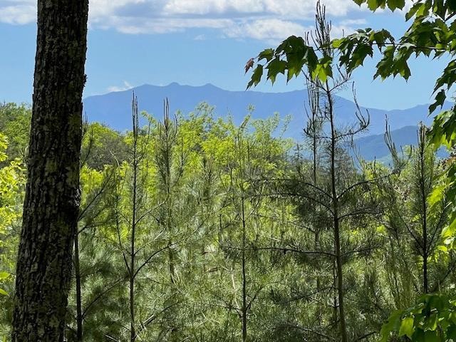 134 Summit Trails Drive Sevierville, TN 37862 - Photo 1 of 19