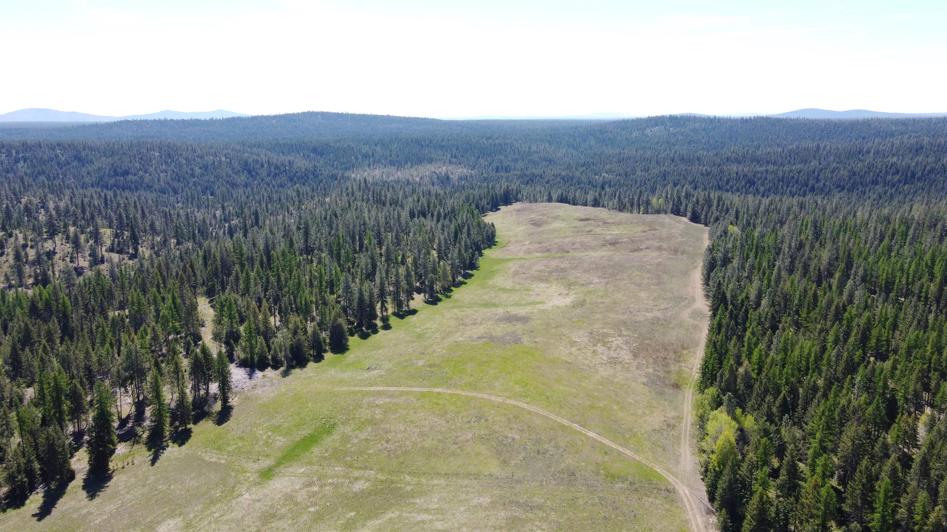 52-xx Wagner Road Springdale, WA 99173 - Photo 15 of 20