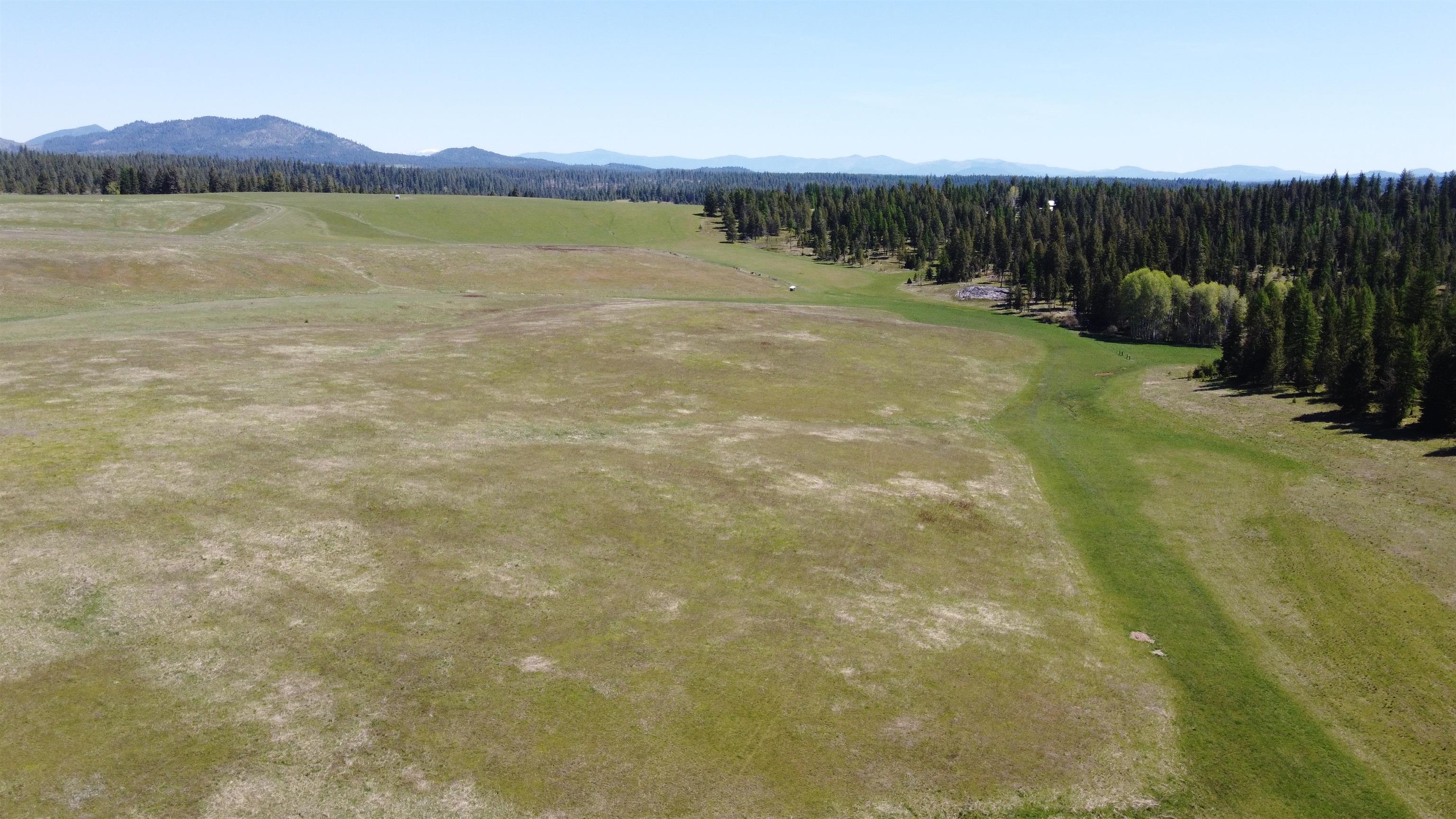 52-xx Wagner Road Springdale, WA 99173 - Photo 16 of 20