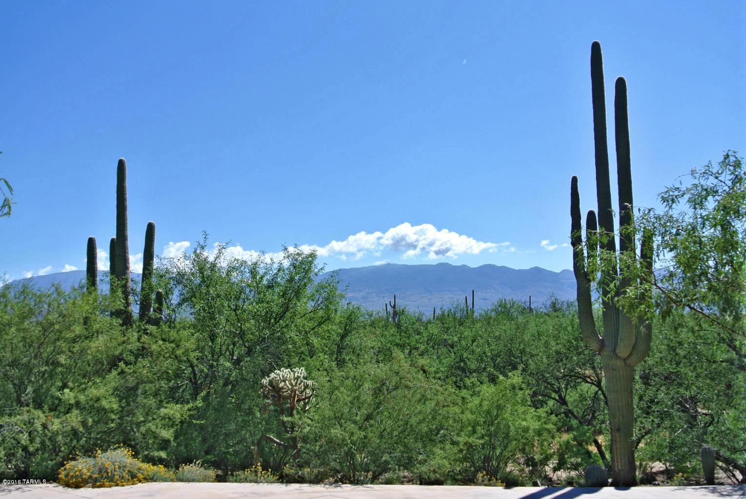 12356 East Prince Road, Unit 1 Tucson, AZ 85749 - Photo 1 of 7