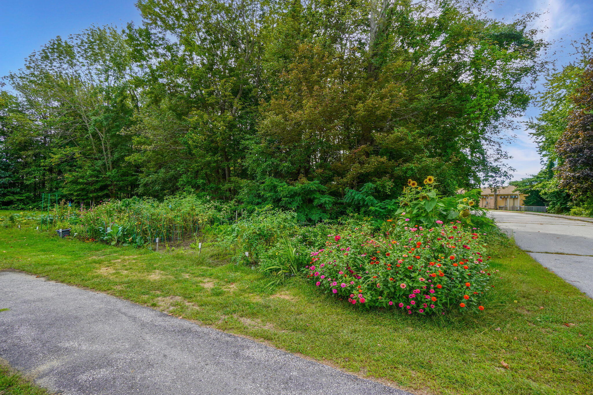 4 Academy Place, Unit 3 Saco, ME 04072 - Photo 23 of 27 Association's community garden