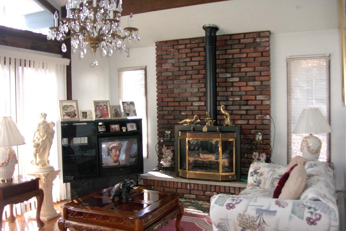 Saunders Drive Bushkill, PA 18324 - Photo 4 of 10 a living room with furniture a fireplace and a potted plant