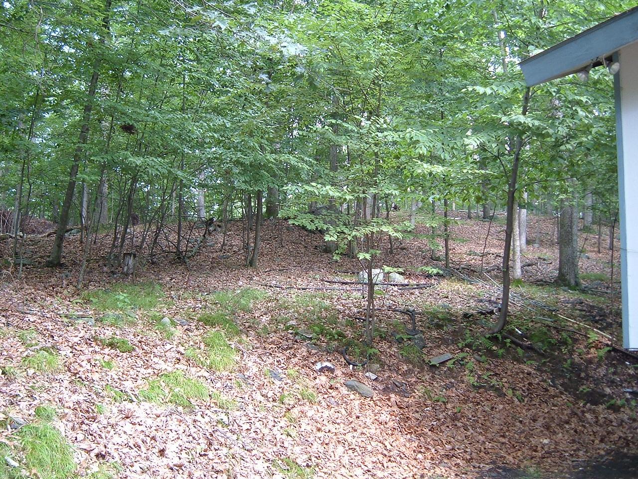 Saunders Drive Bushkill, PA 18324 - Photo 7 of 10 a backyard of a house with lots of green space