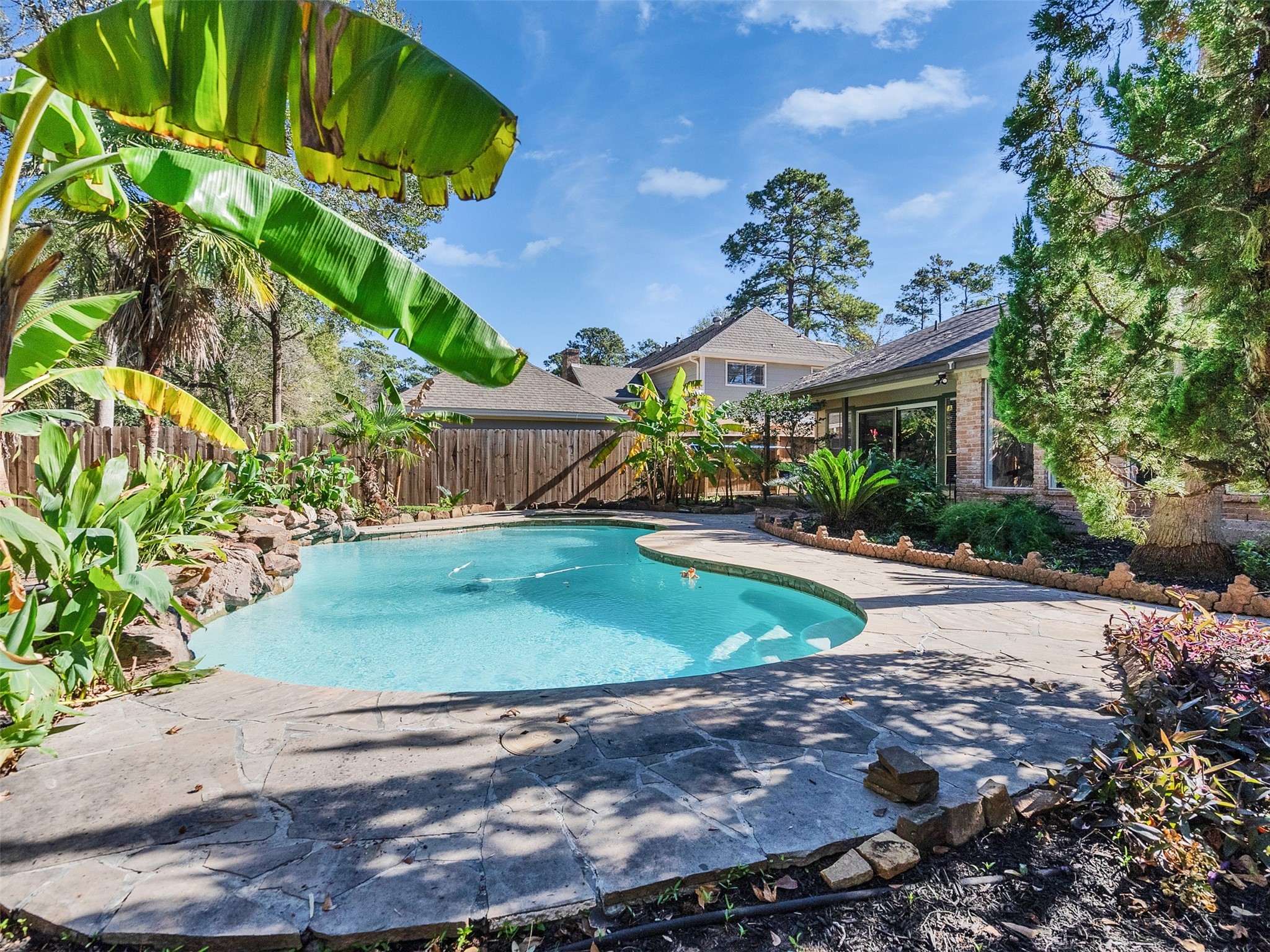 a view of a backyard