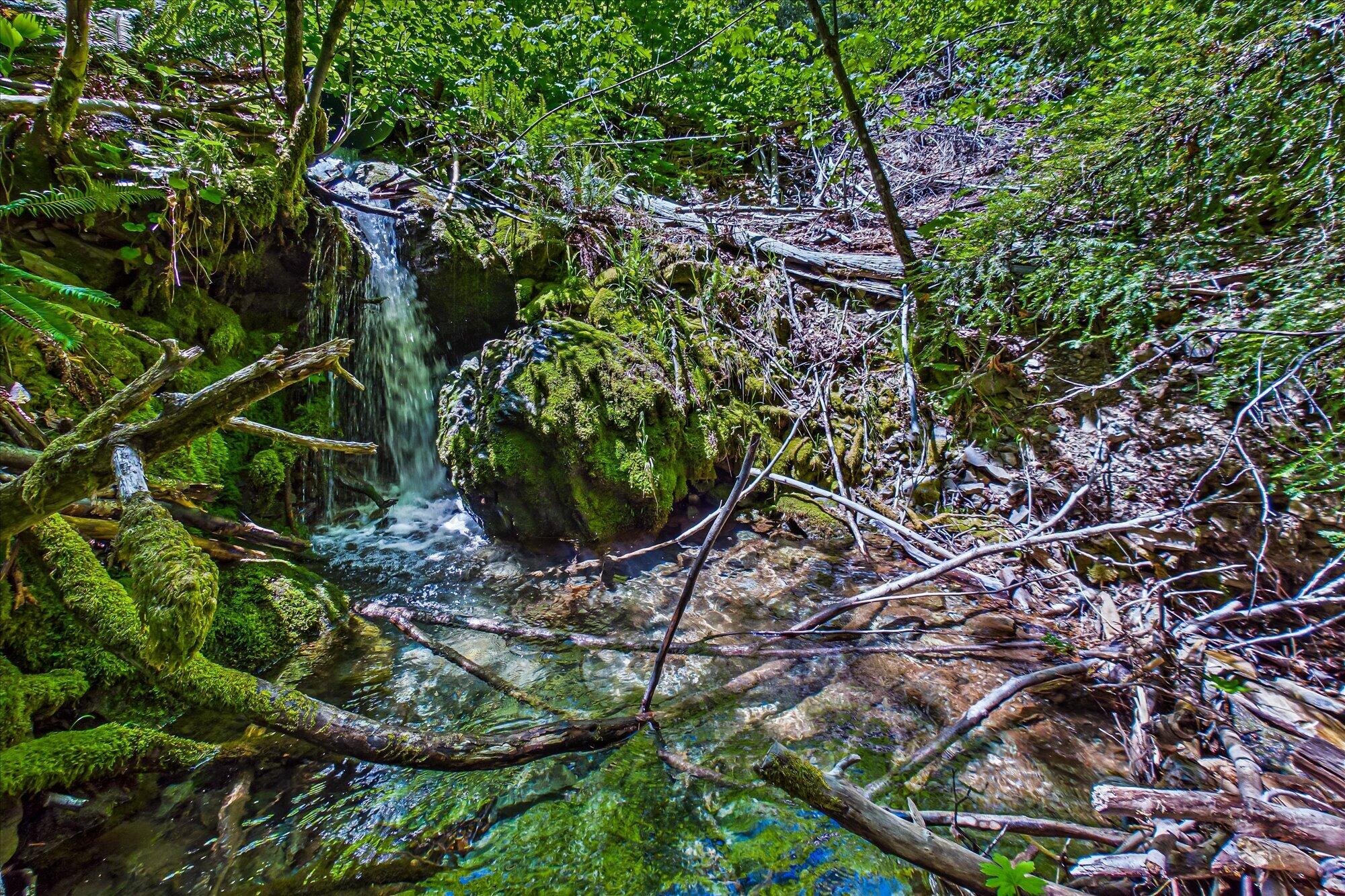0 Forest Rte 4N20 Road Hayfork, CA 96041 - Photo 7 of 22