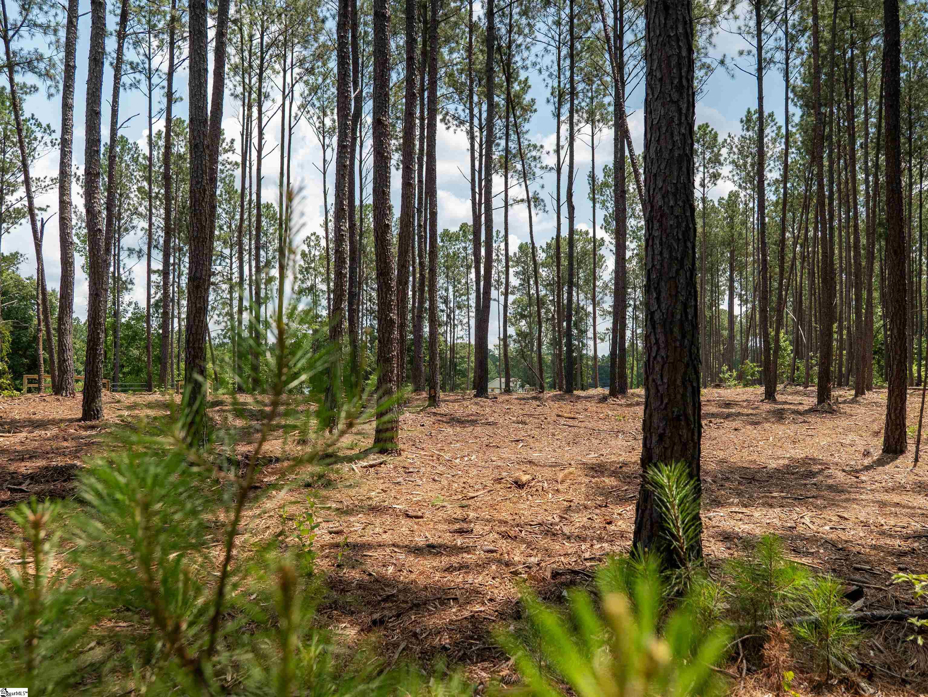 0 Cheek Road, Unit LOT 10 Gray Court, SC 29645 - Photo 12 of 21 Gallery Image 12