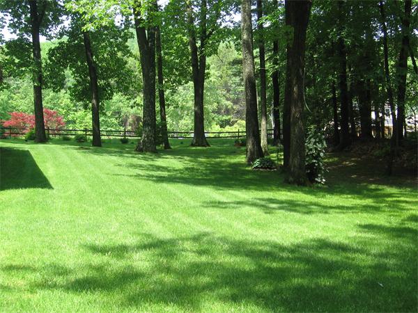 83 Wyben Road Westfield, MA 01085 - Photo 17 of 20