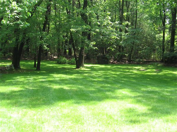 83 Wyben Road Westfield, MA 01085 - Photo 19 of 20