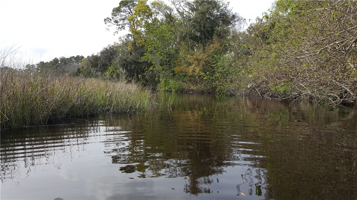 85117 Harts Road Yulee, FL 32097 - Photo 20 of 23 Gallery Image 20