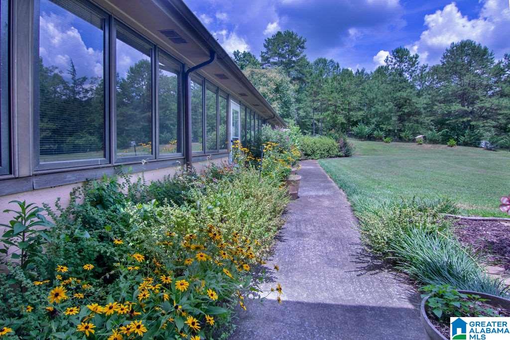 231 County Road 2012 Delta, AL 36258 - Photo 20 of 24