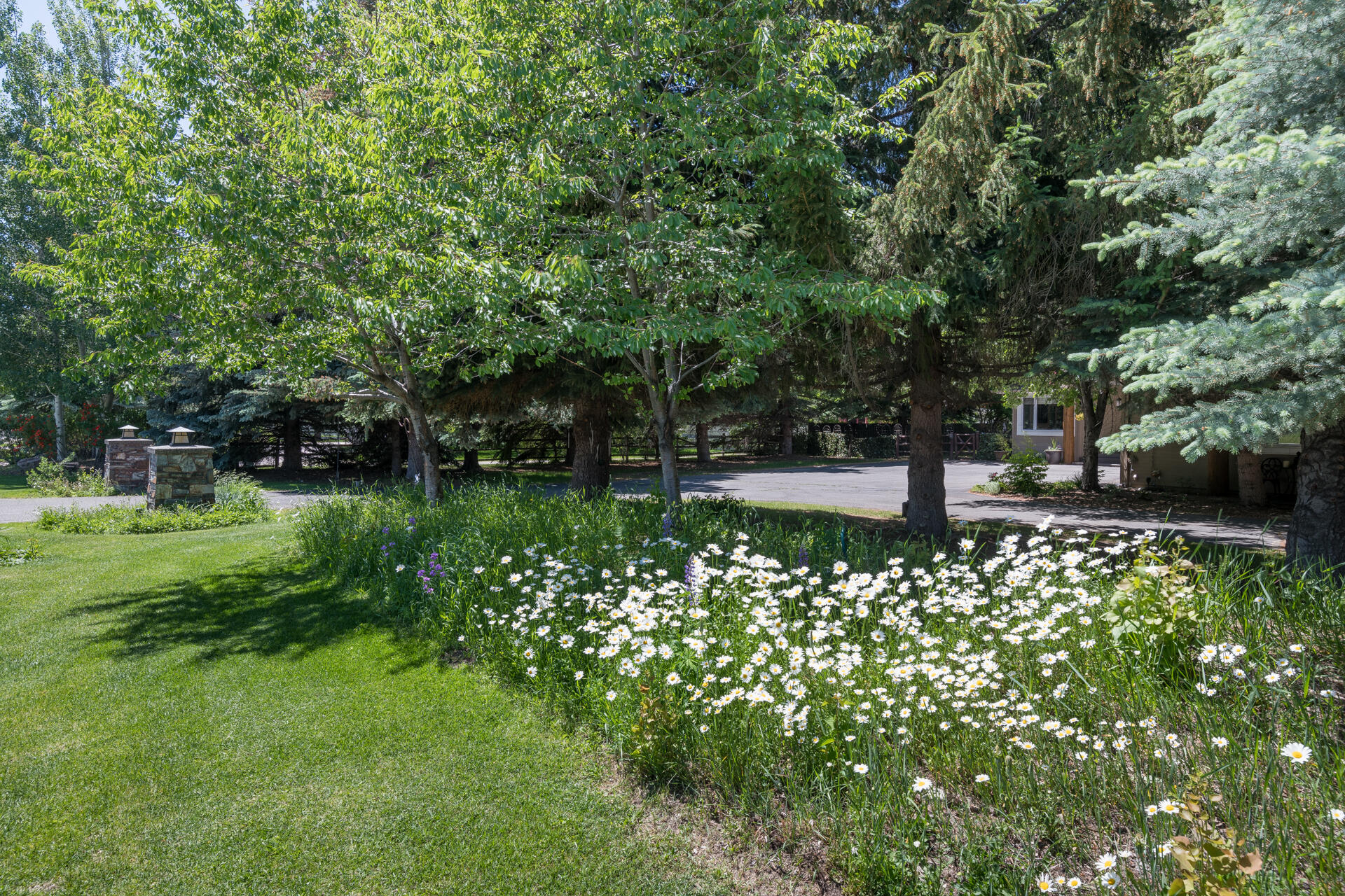 1621 2nd Avenue North Hailey, ID 83333 - Photo 32 of 32 Yard