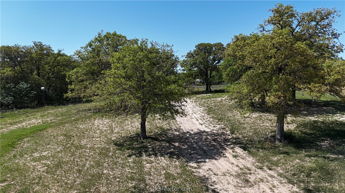 1035 Sayers Road Elgin, TX 78621 - Photo 13 of 20