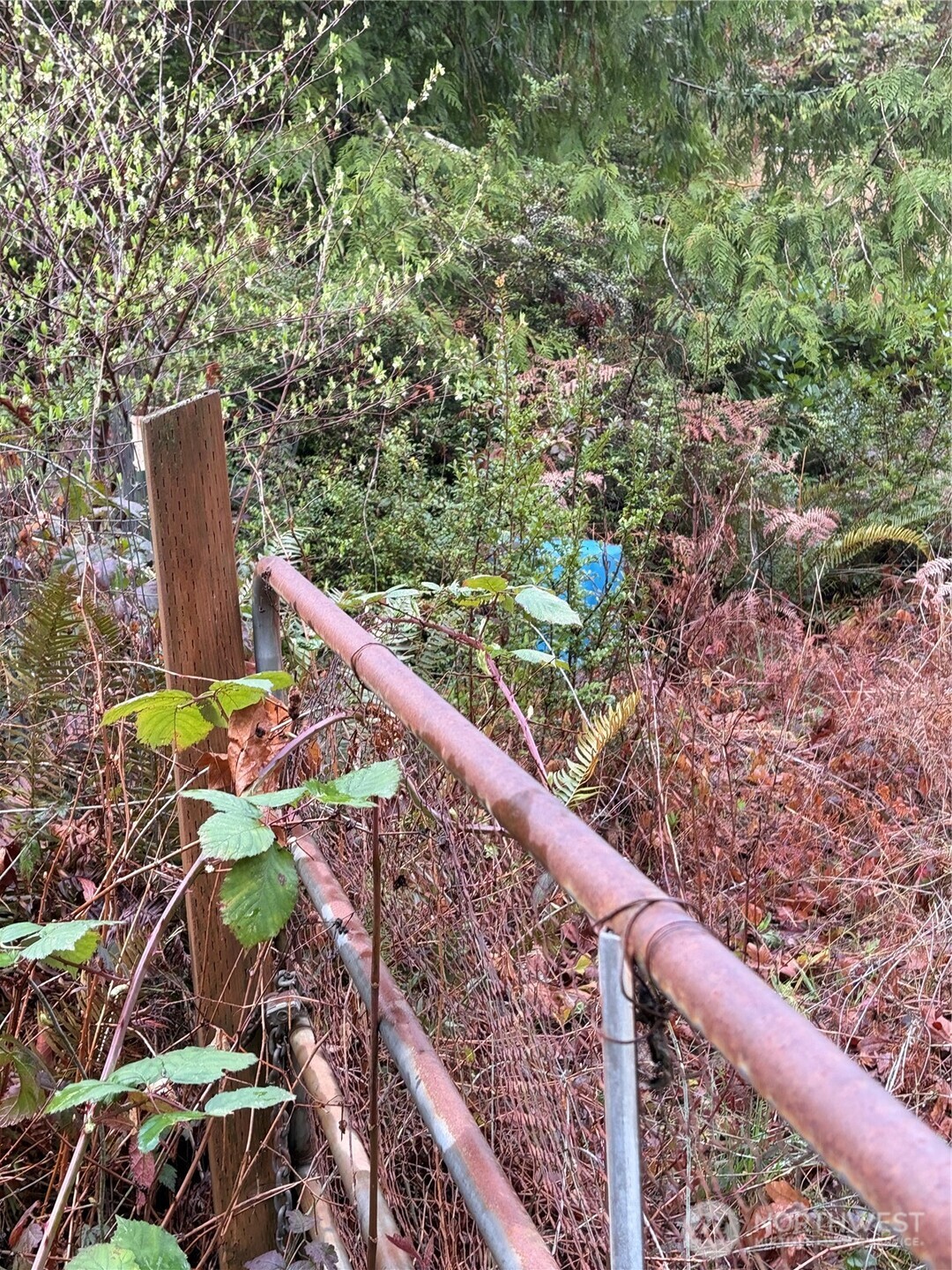 156 Whitney Road Quilcene, WA 98376 - Photo 12 of 36 a view of an outdoor space with a lake view