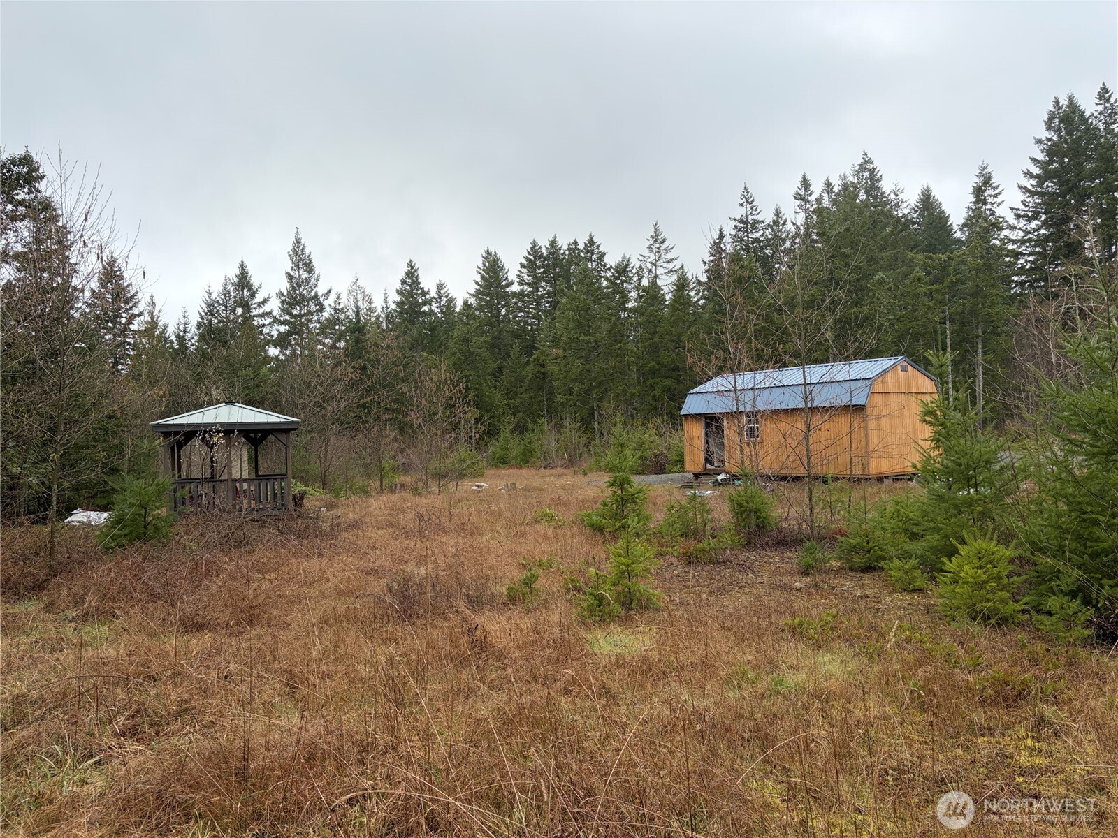 156 Whitney Road Quilcene, WA 98376 - Photo 20 of 36 a backyard of a house with table and chairs