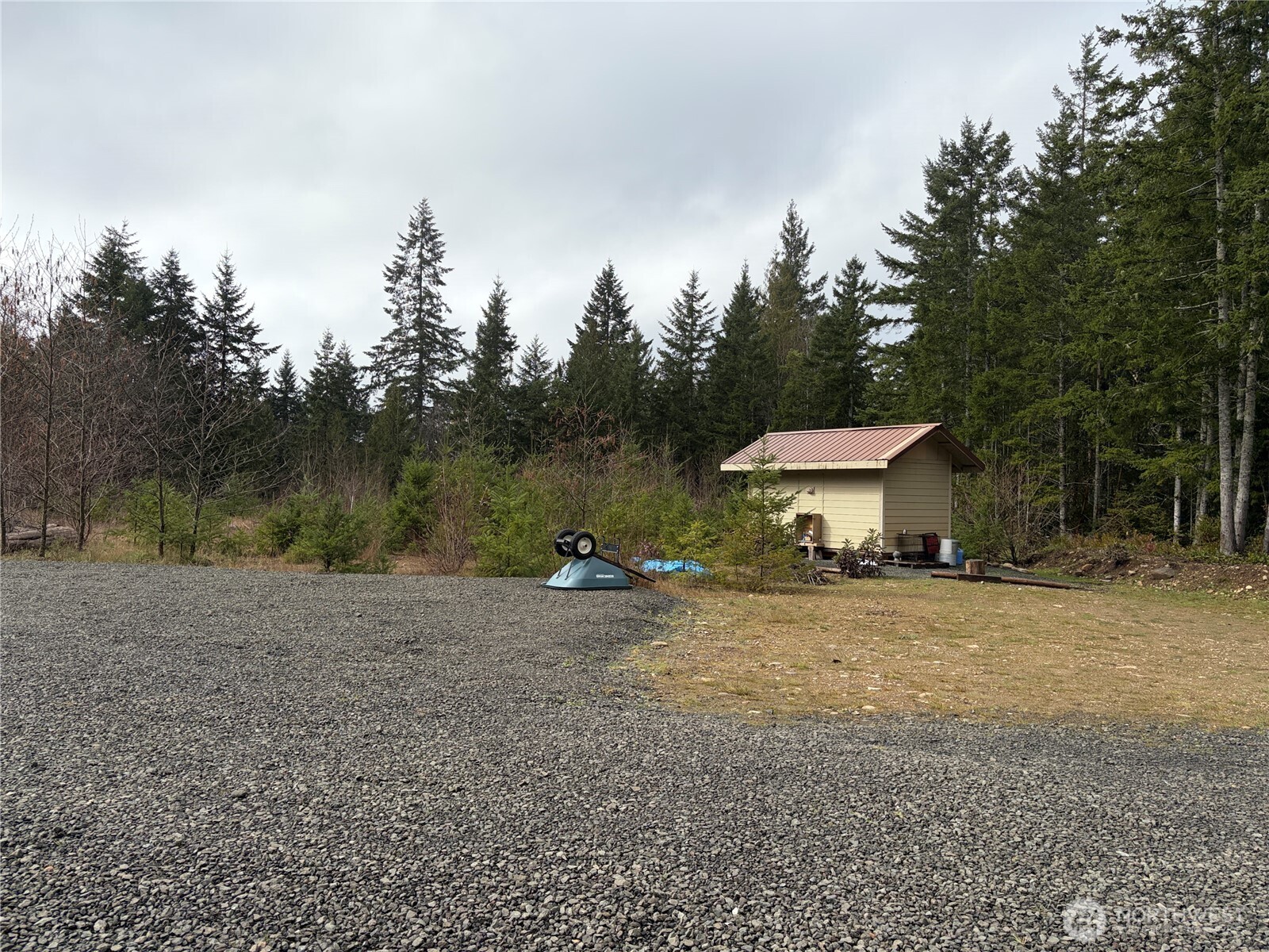 156 Whitney Road Quilcene, WA 98376 - Photo 2 of 36 a view of a house with a yard and sitting area