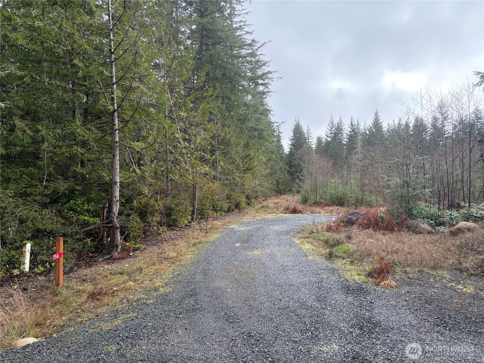 156 Whitney Road Quilcene, WA 98376 - Photo 31 of 36 a view of a field with trees in the background