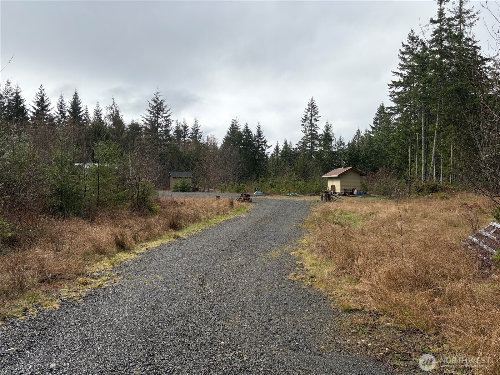156 Whitney Road Quilcene, WA 98376 - Photo 32 of 36 a view of a road with trees in the background
