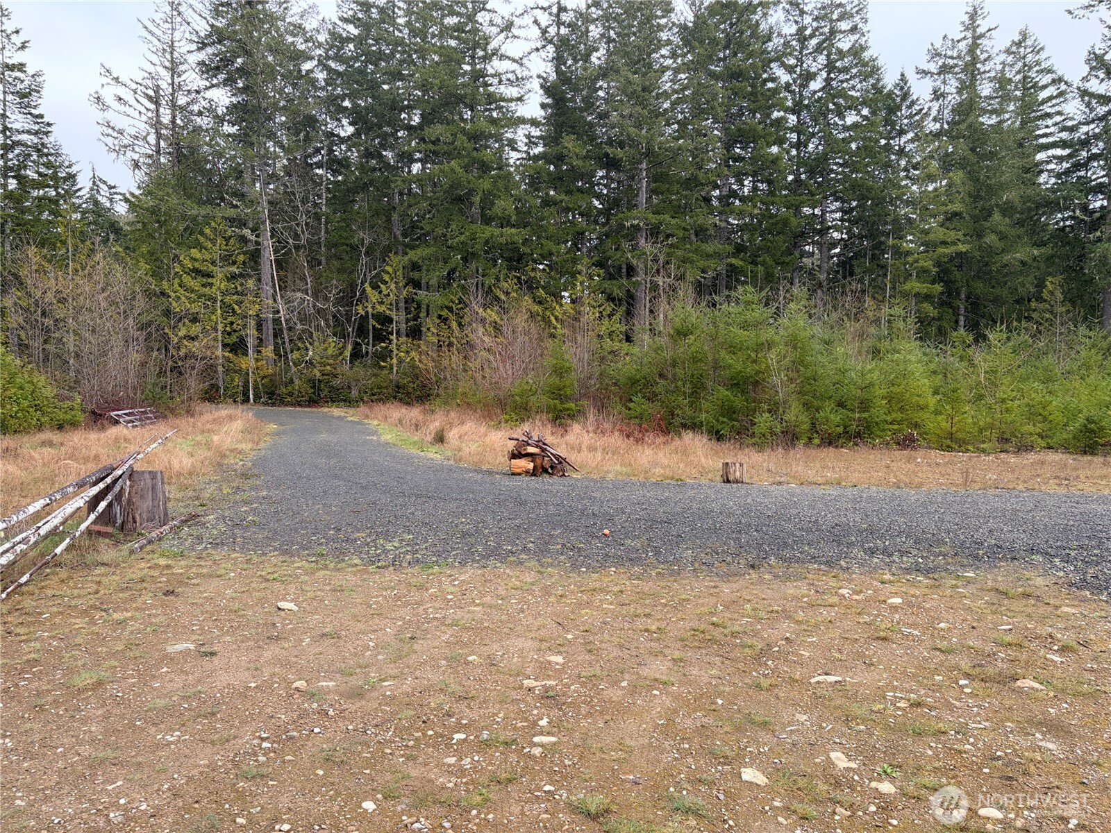 156 Whitney Road Quilcene, WA 98376 - Photo 33 of 36 a view of a yard with a tree