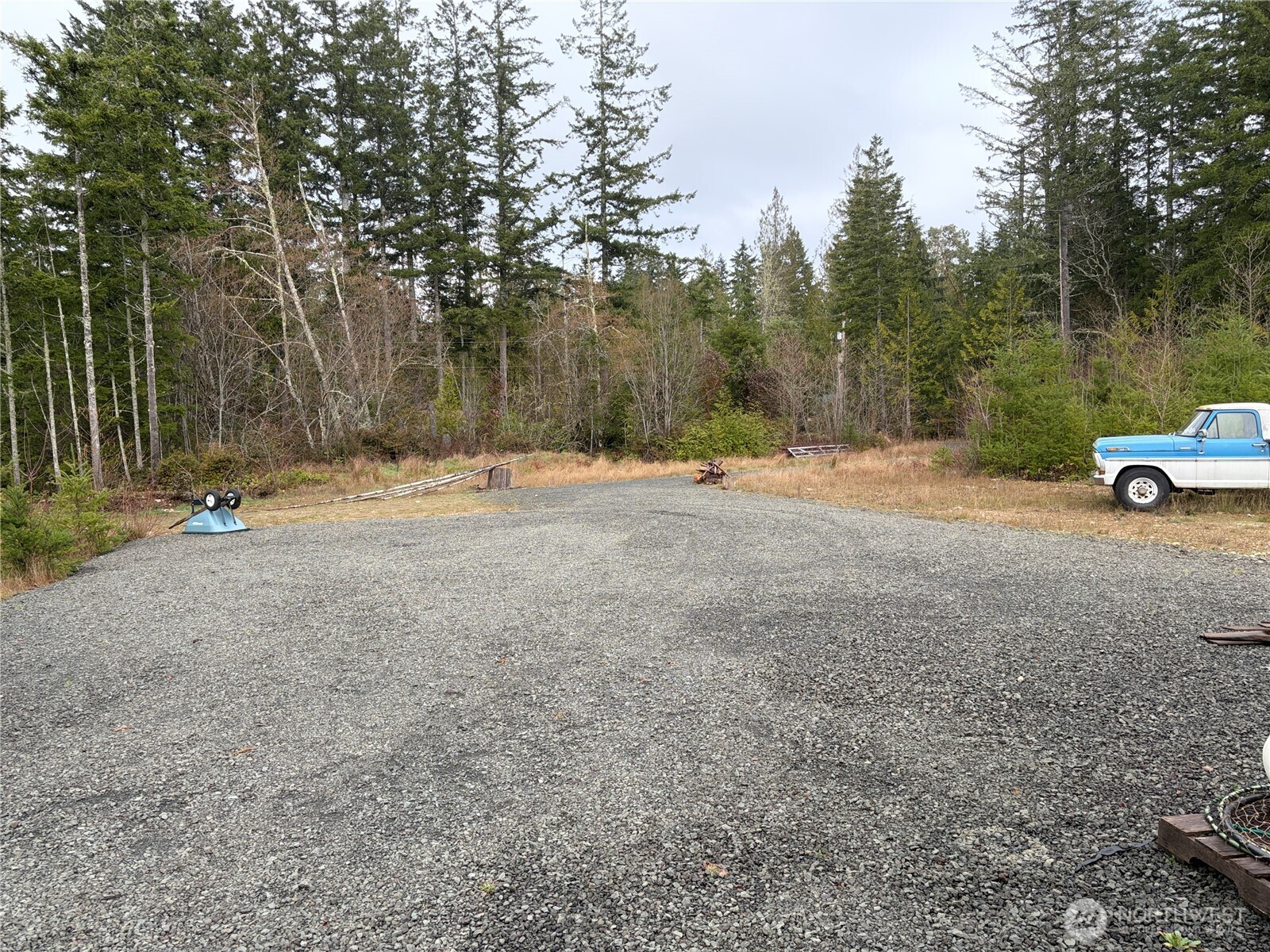 156 Whitney Road Quilcene, WA 98376 - Photo 34 of 36 a view of outdoor space with trees