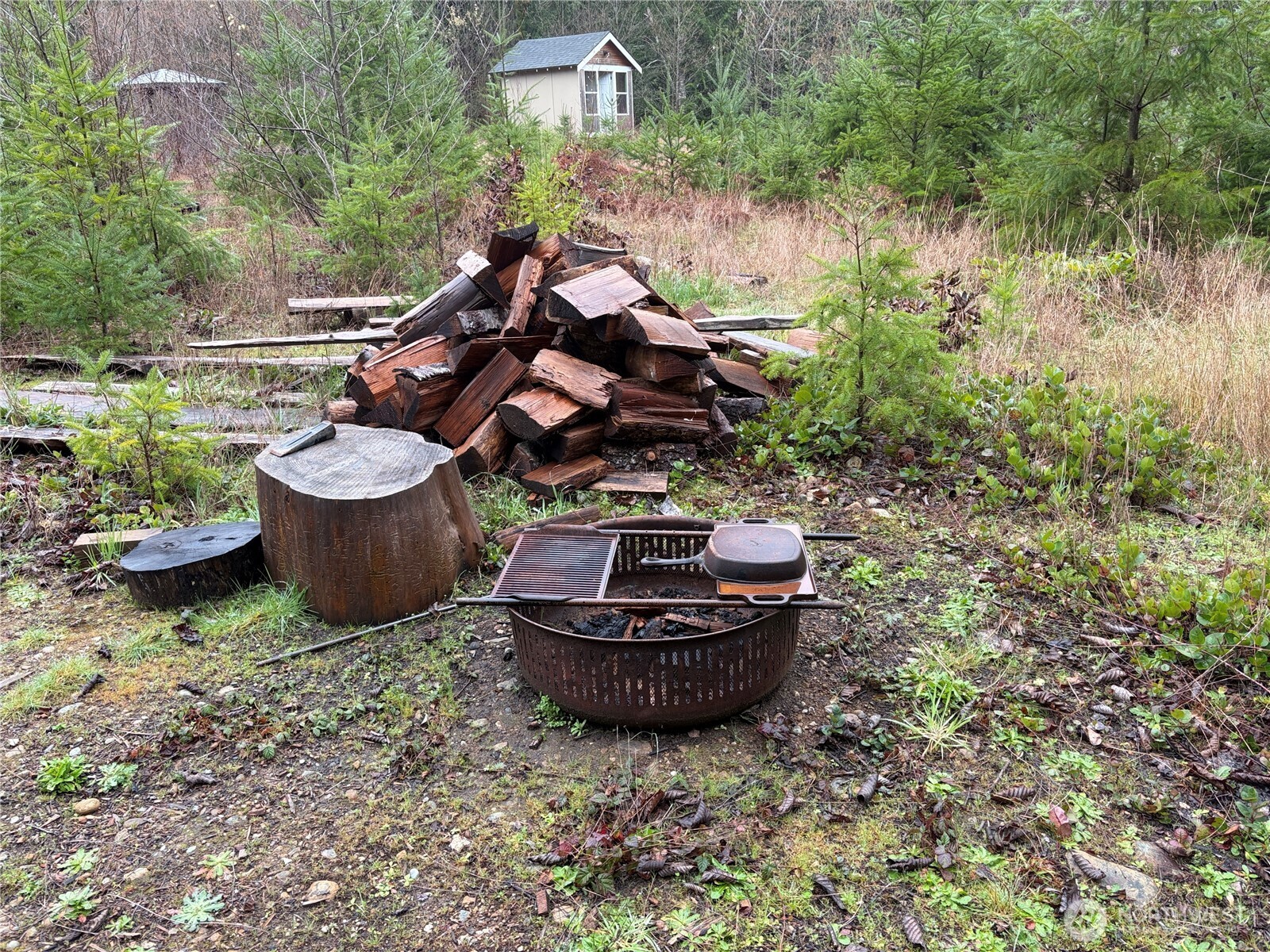 156 Whitney Road Quilcene, WA 98376 - Photo 9 of 36 a view of a backyard with plants and chairs