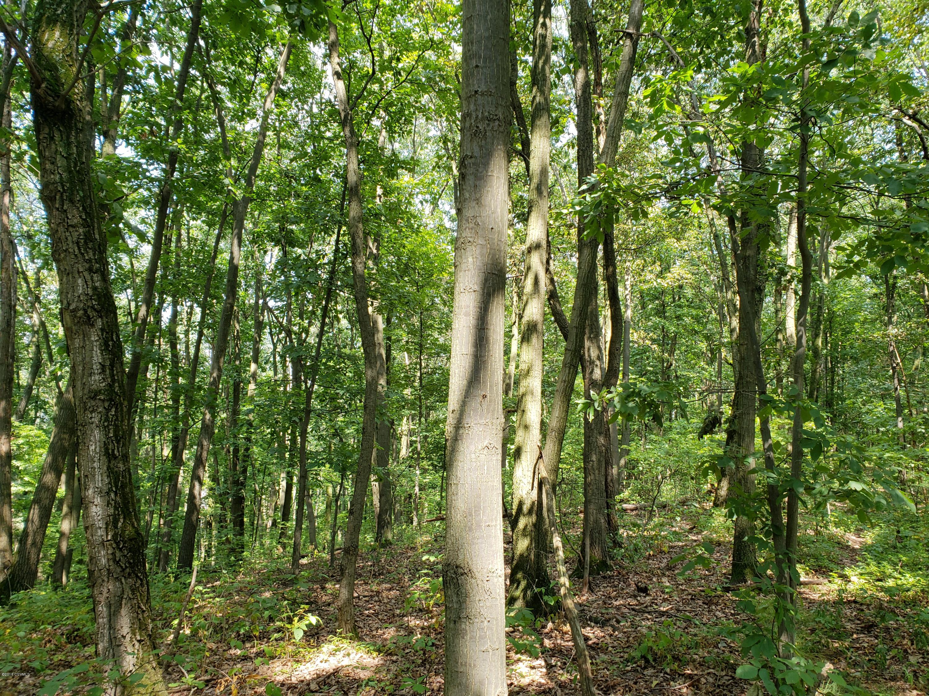 Ridge Road Lewisburg, PA 17837 - Photo 3 of 10 Gallery Image 3