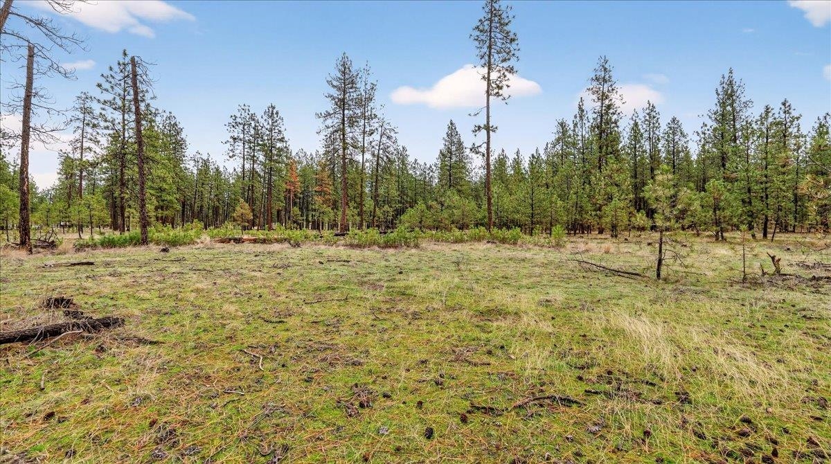 23500 North McLellan Road Nine Mile Falls, WA 99026 - Photo 13 of 14