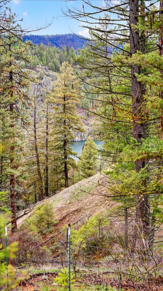 23500 North McLellan Road Nine Mile Falls, WA 99026 - Photo 5 of 14