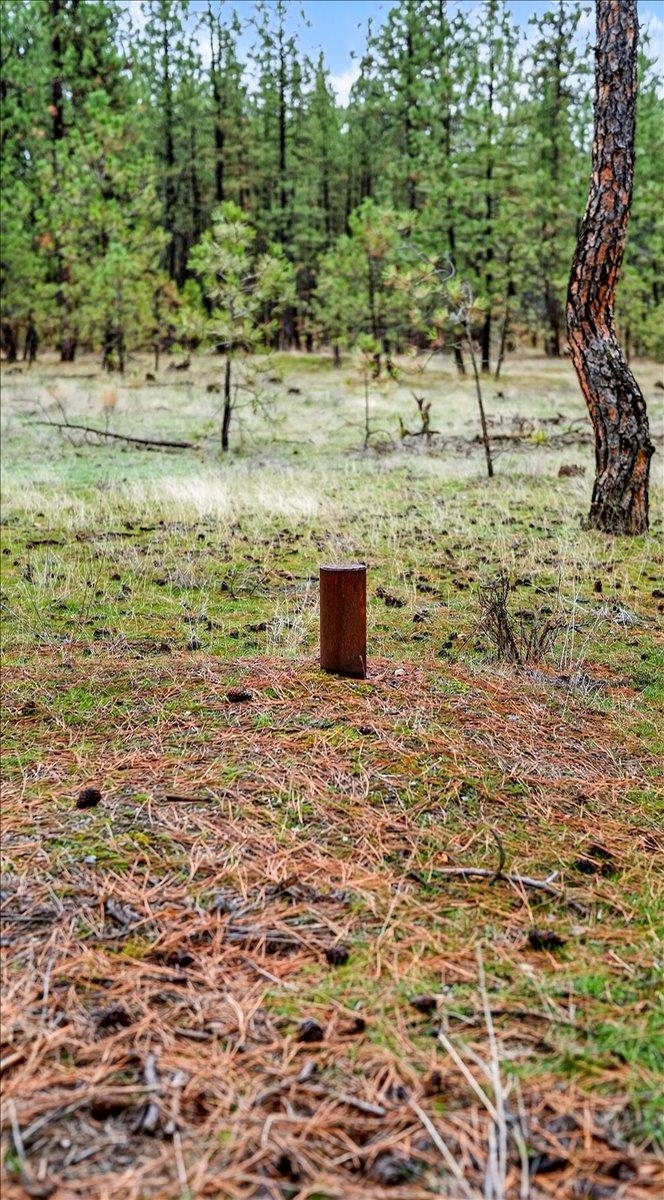 23500 North McLellan Road Nine Mile Falls, WA 99026 - Photo 7 of 14