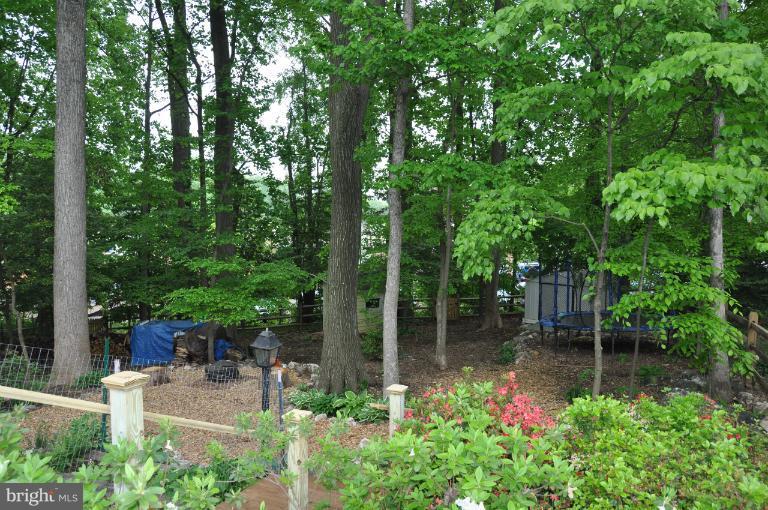 8612 Victoria Road Springfield, VA 22151 - Photo 13 of 25 a backyard of a house with lots of green space and trees