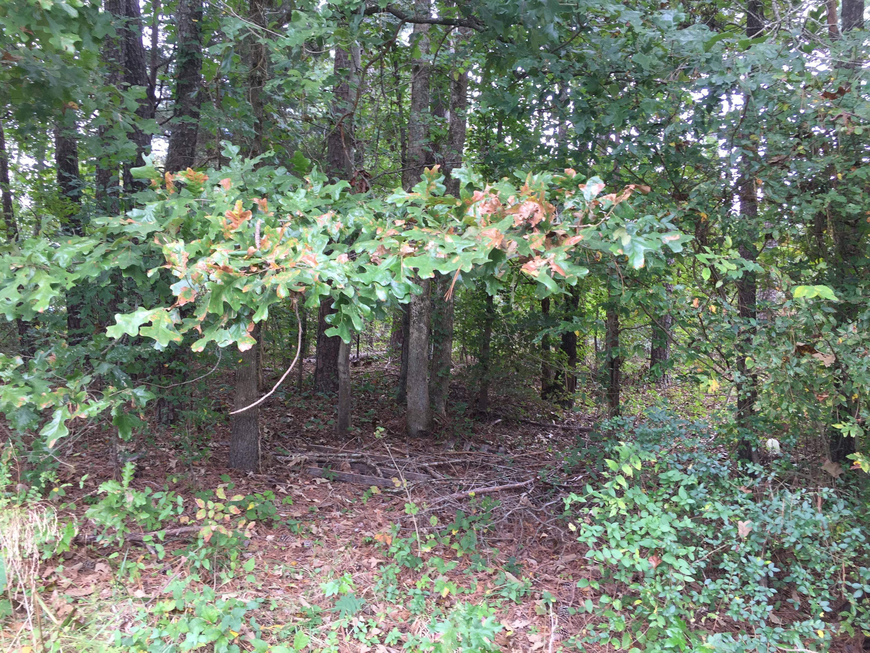 0 Post Oak Road Ringgold, GA 30736 - Photo 3 of 5 IMG_3687