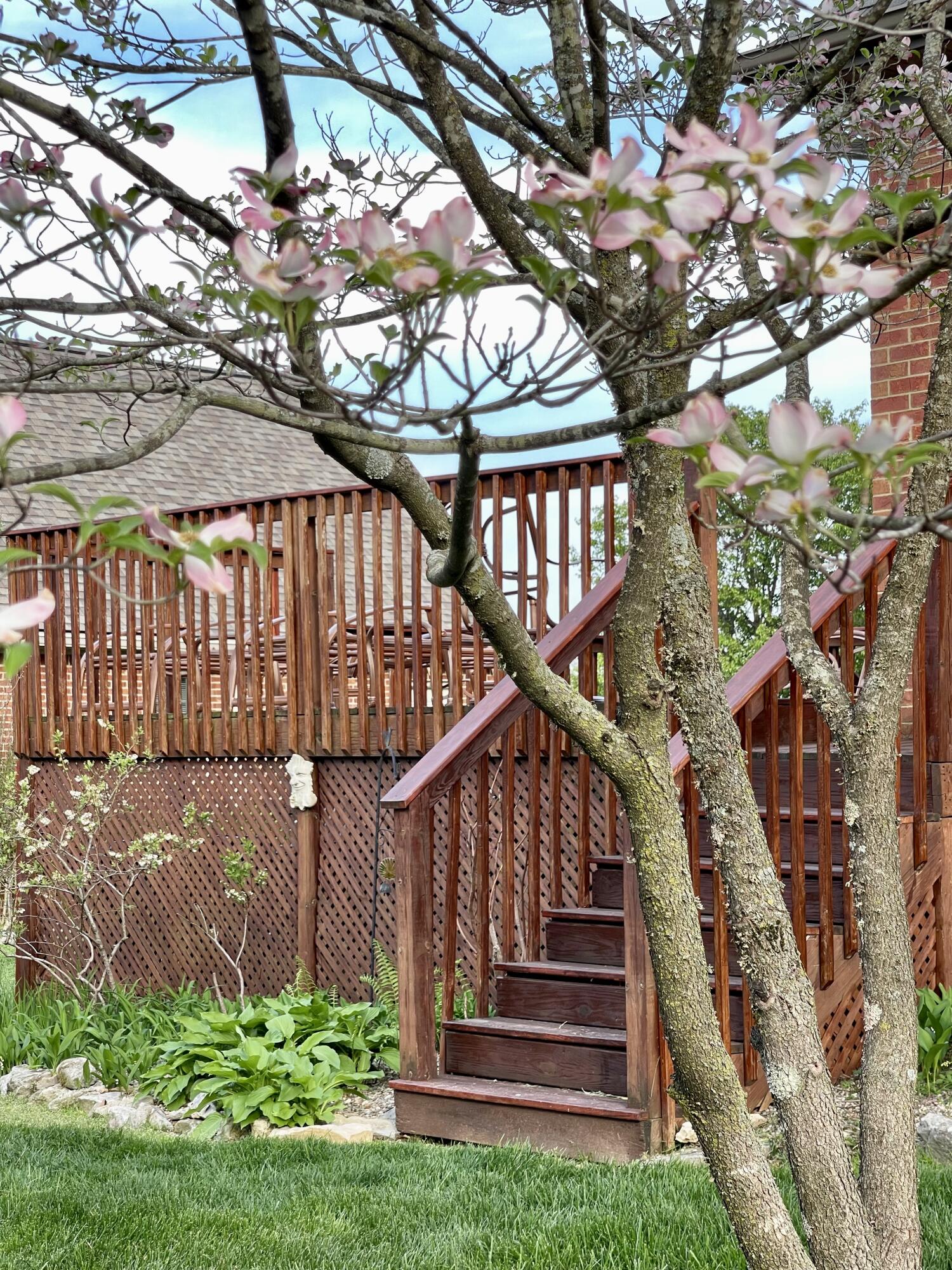 303 Stephen Road Frankfort, KY 40601 - Photo 22 of 43 Primary Bedroom Deck
