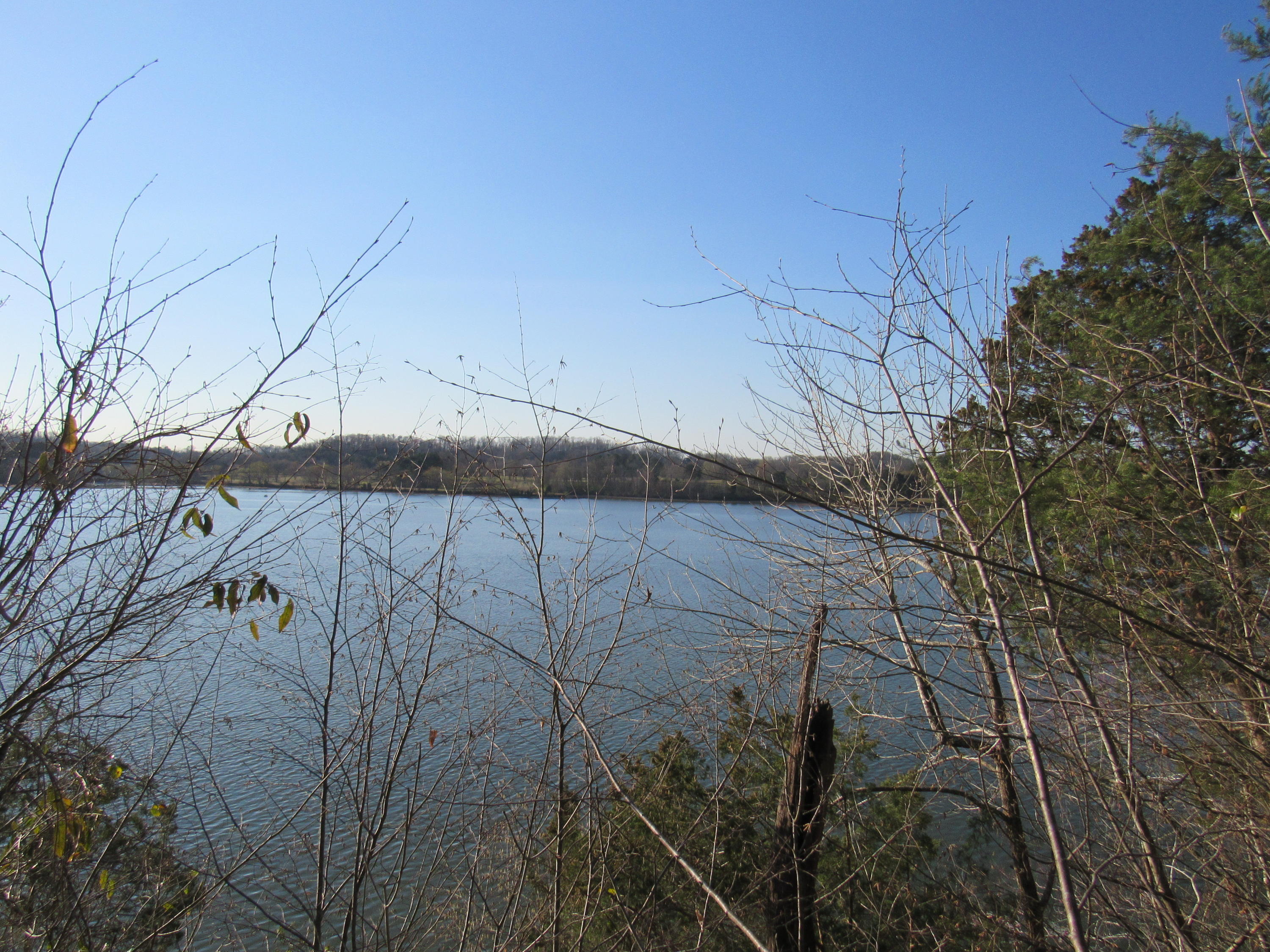142 Rebel Road Harriman, TN 37748 - Photo 21 of 37 IMG_0348