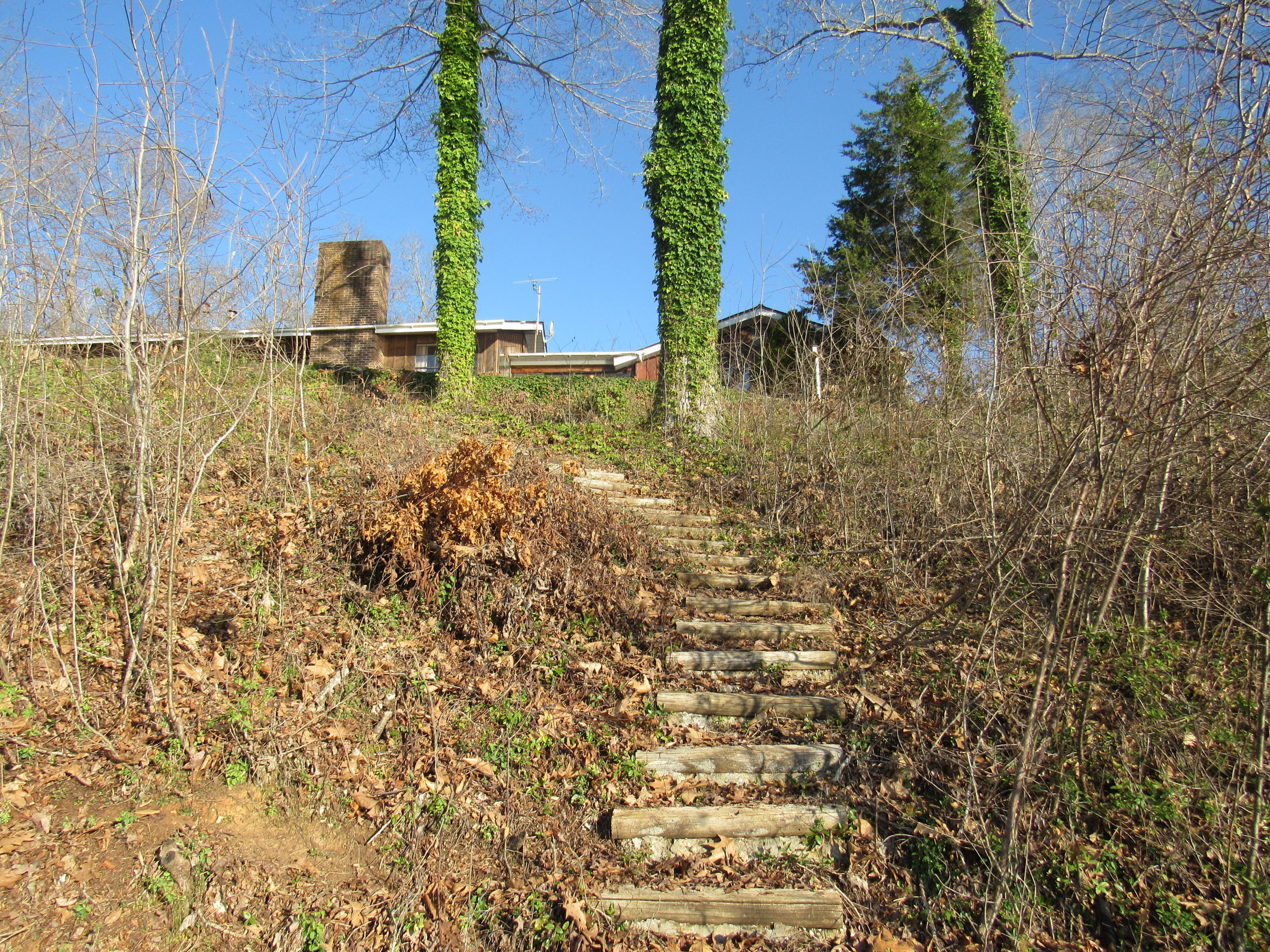 142 Rebel Road Harriman, TN 37748 - Photo 22 of 37 IMG_0349
