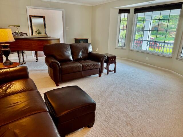3145 Bembridge Road Columbus, OH 43221 - Photo 8 of 50 Large LR w/big bay window wall!