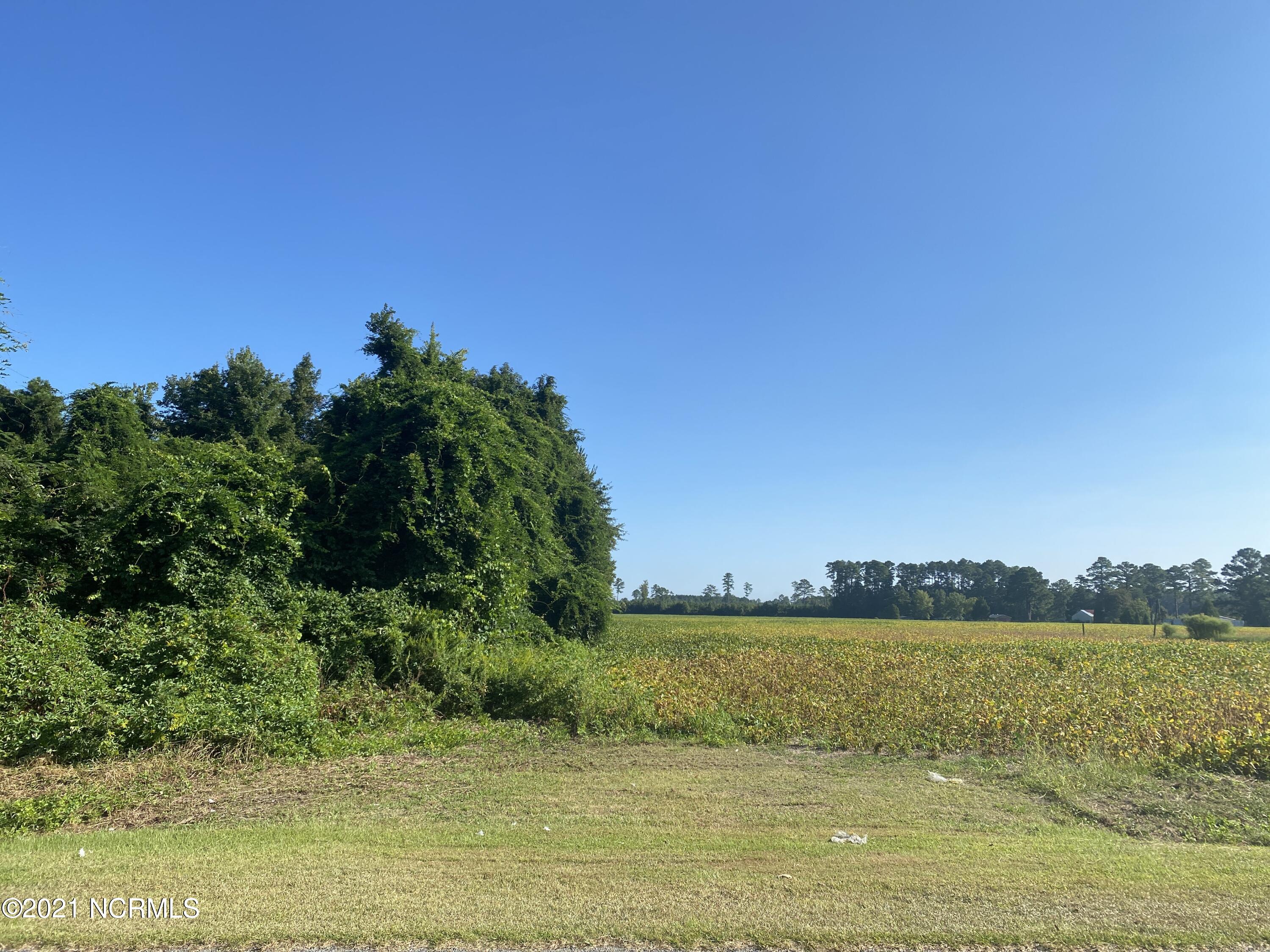 0 Respess Road Pinetown, NC 27865 - Photo 6 of 9 IMG_4868 2