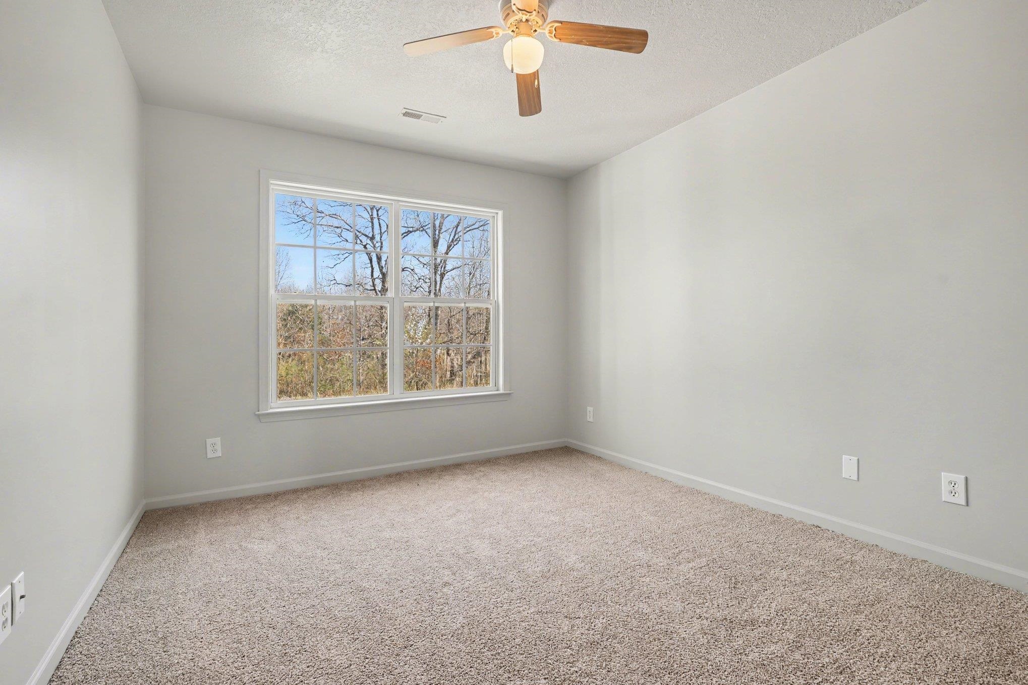 1 Long Pond Court Greer, SC 29651 - Photo 16 of 28