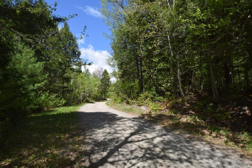 Lot 4-02 Sys Road Lakeville, ME 04487 - Photo 5 of 10 The Sys Road leading to the property...