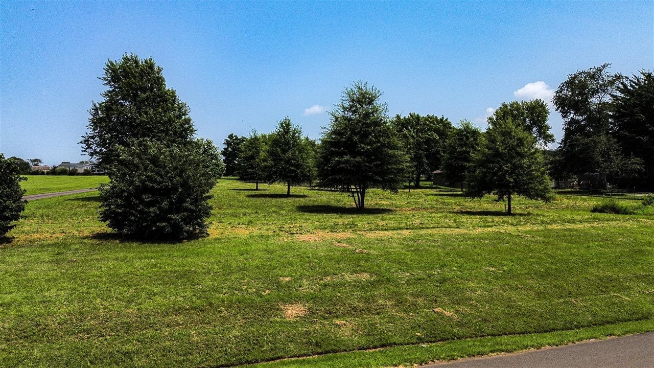 0 Boat Ramp Road Franklin, KY 42134 - Photo 2 of 21 Gallery Image 2