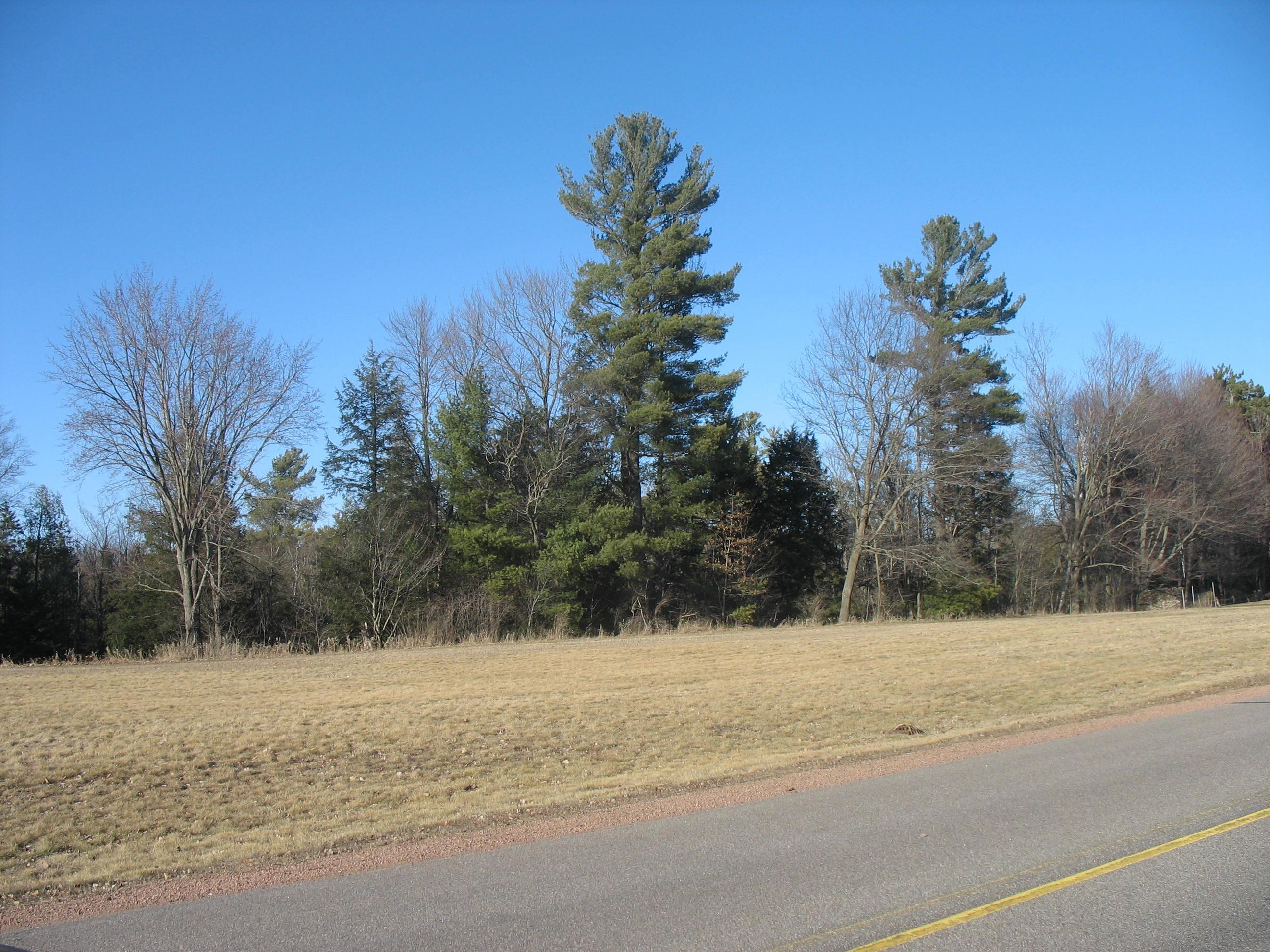 12.09-acres Callon Avenue Rothschild, WI 54474 - Photo 2 of 2