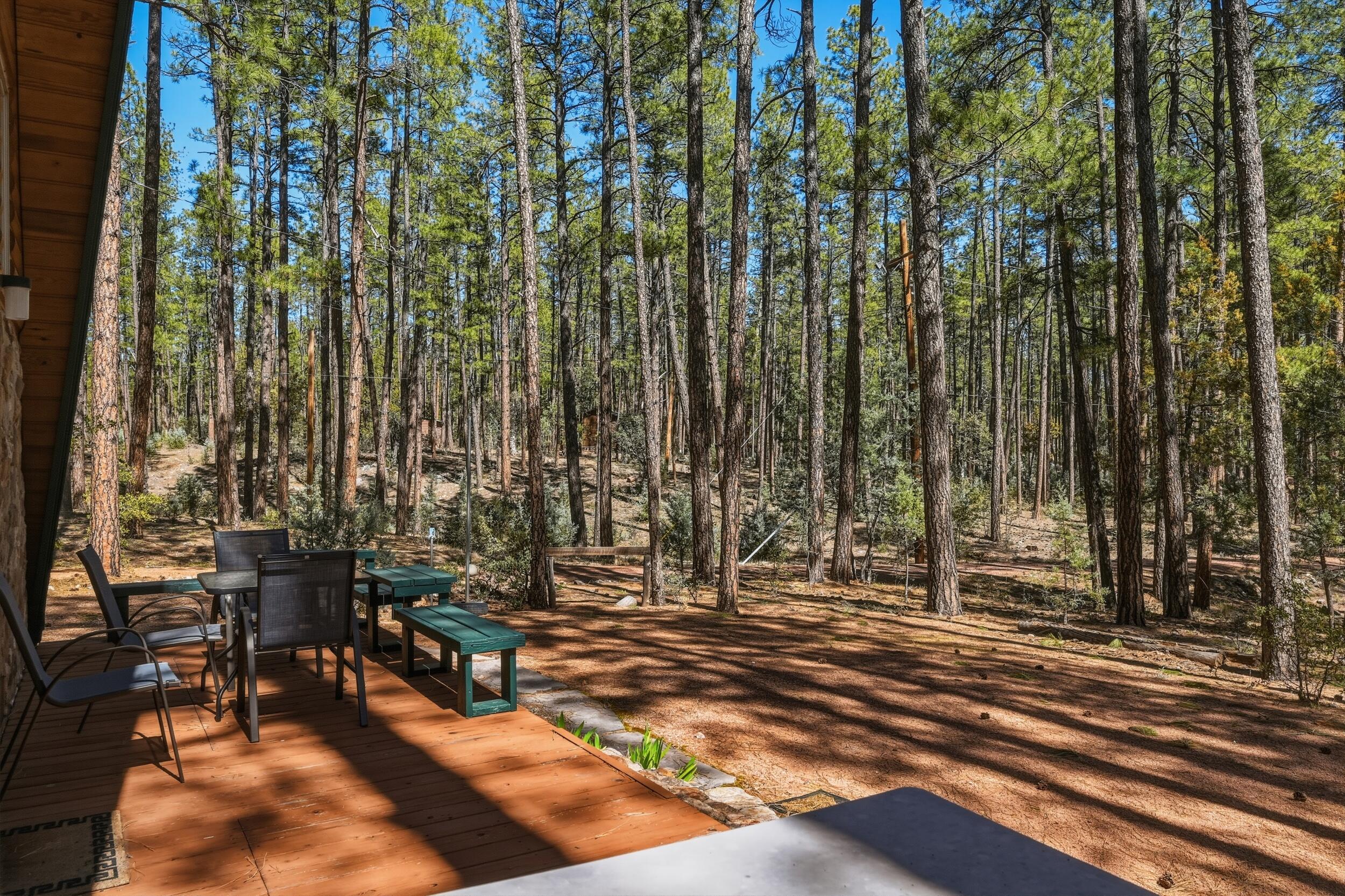 183 West Raven Road Payson, AZ 85541 - Photo 60 of 70 7_nkn_7086