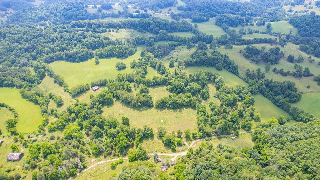 69.65-ac Widener Valley Road Glade Spring, VA 24340 - Photo 12 of 19 Gallery Image 12