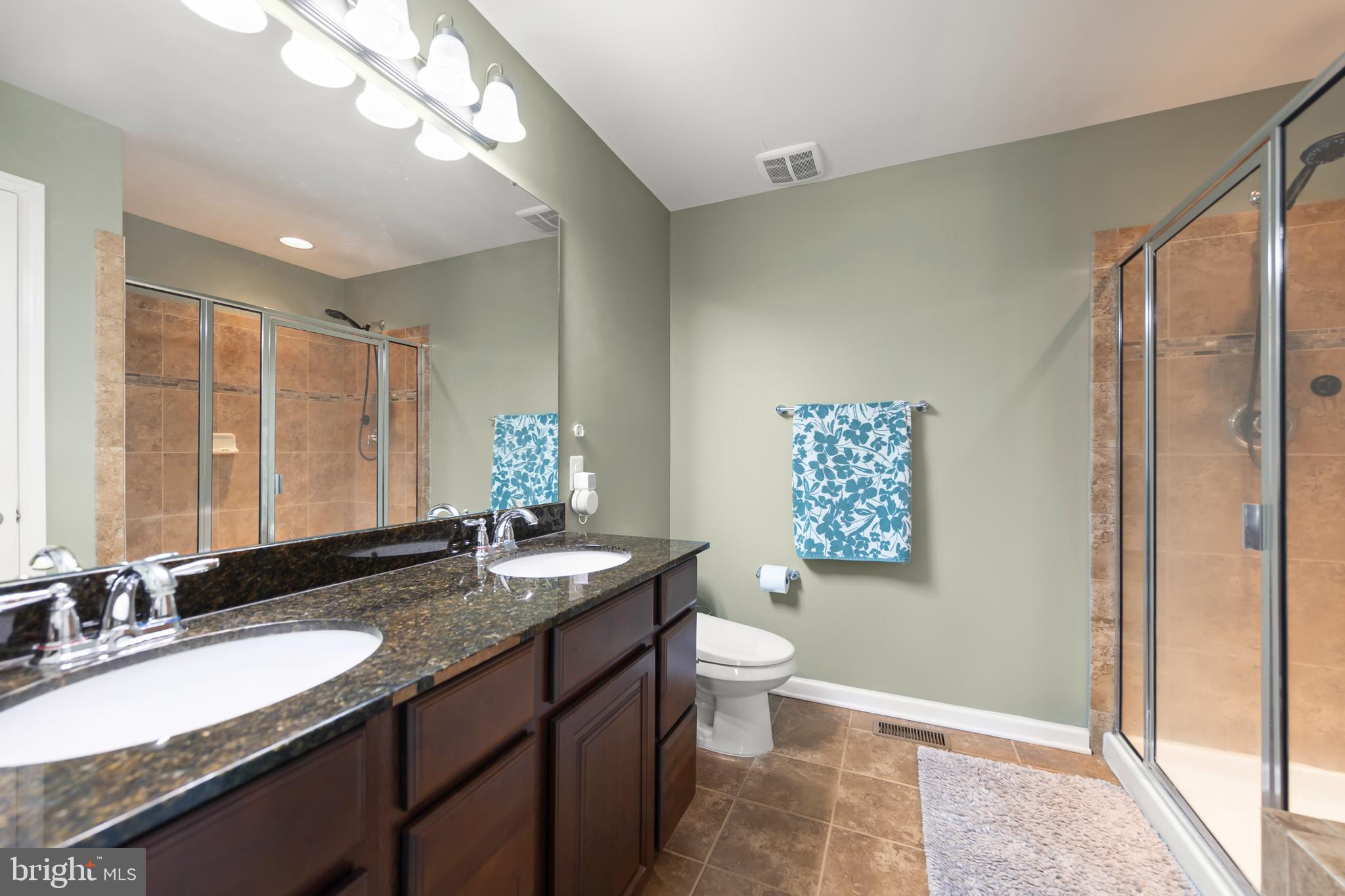 155 Merlot Drive Stephenson, VA 22656 - Photo 34 of 69 a bathroom with a granite countertop sink a toilet a mirror and shower