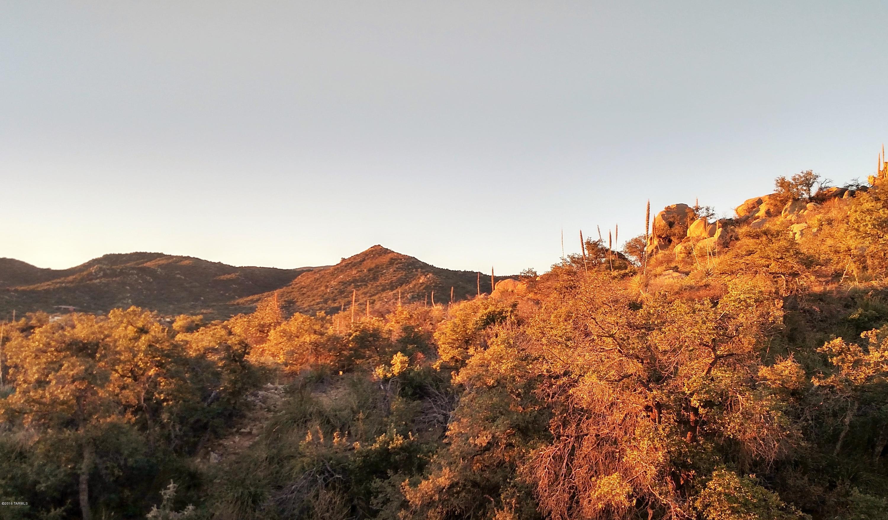 Lot 6 South Hobe Road, Unit 6 Oracle, AZ 85623 - Photo 8 of 17