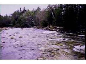 Wilson Bridge Road Bath, NH 03740 - Photo 1 of 3