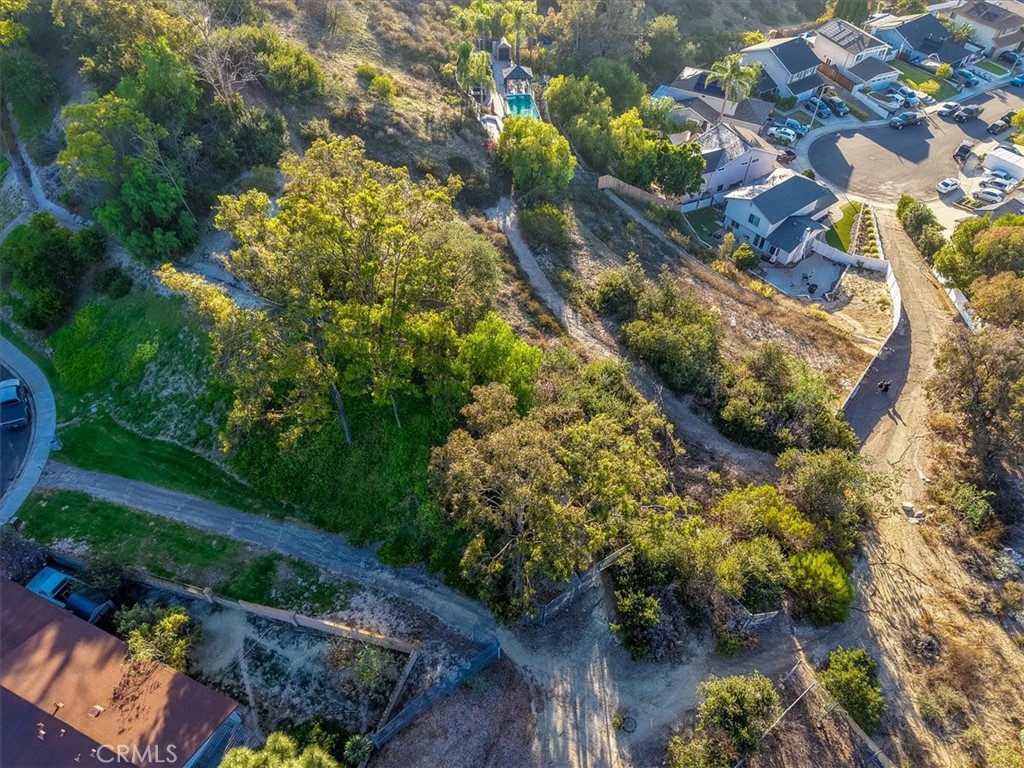 27191 Valleymont Road Lake Forest, CA 92630 - Photo 33 of 37 a view of a garden with flowers