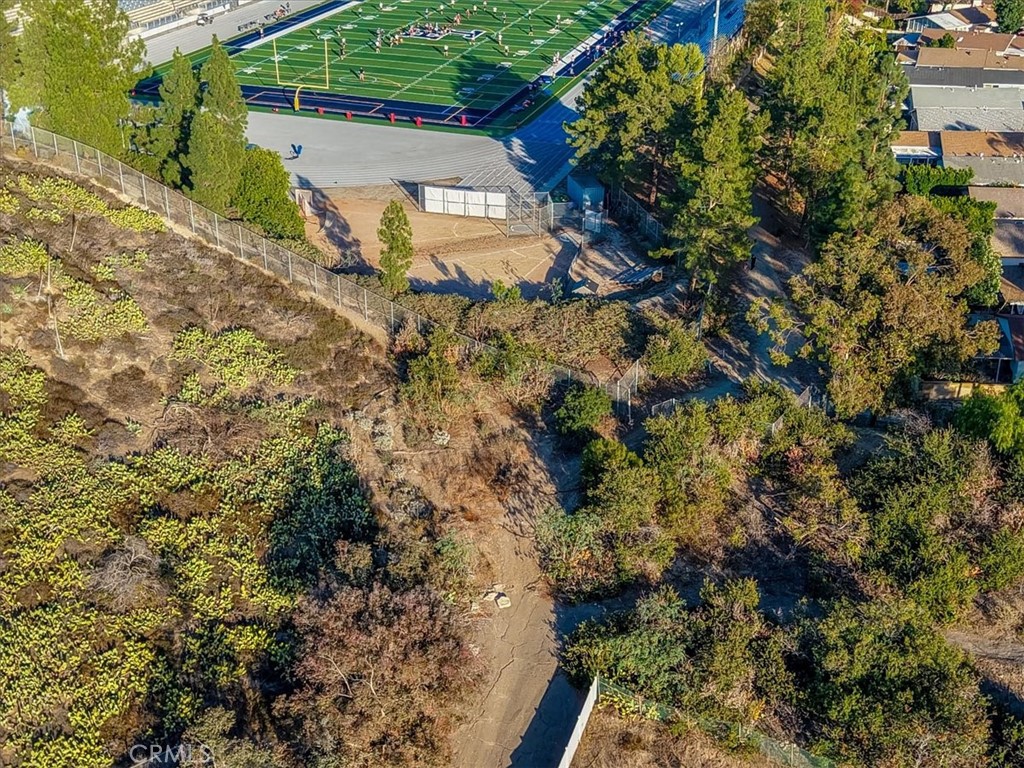 27191 Valleymont Road Lake Forest, CA 92630 - Photo 36 of 37 a view of a yard with plants