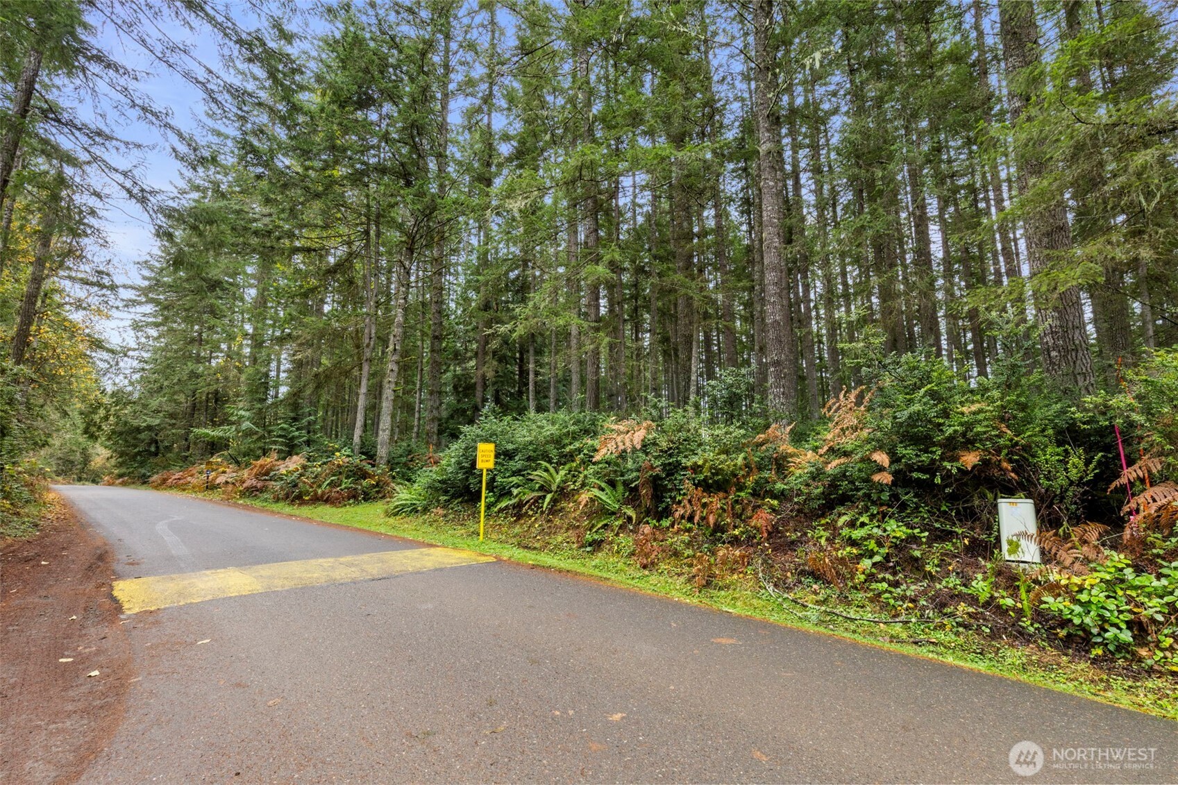 a view of a road with plants and large trees